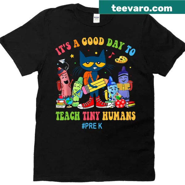 Playful T-shirt for teachers featuring a cat and teaching message