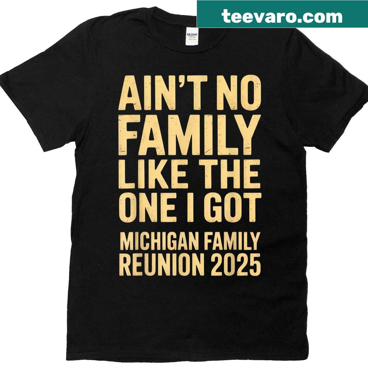 Typography t-shirt stating 'Aint No Family Like The One I Got' — on a men's t-shirt