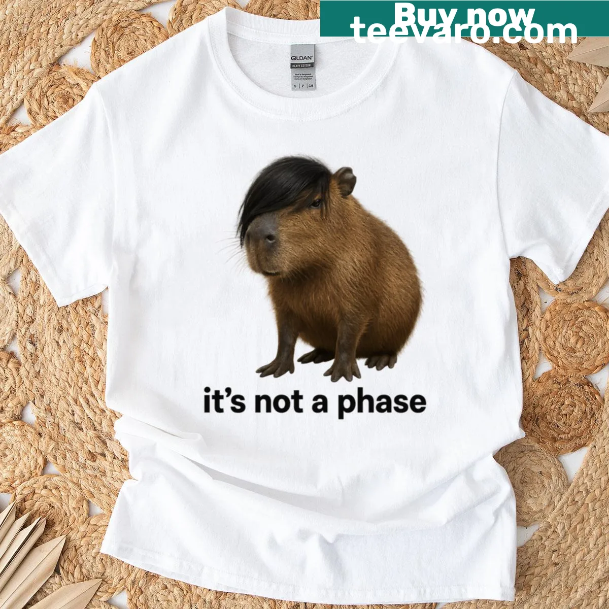 Cartoonish emo capybara graphic t-shirt — on a men's t-shirt