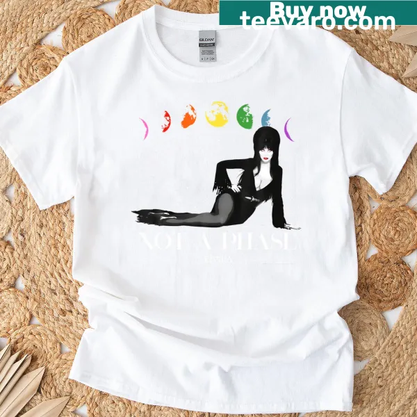 Retro rainbow moon graphic with the phrase 'It's Not A Phase' on a T-shirt