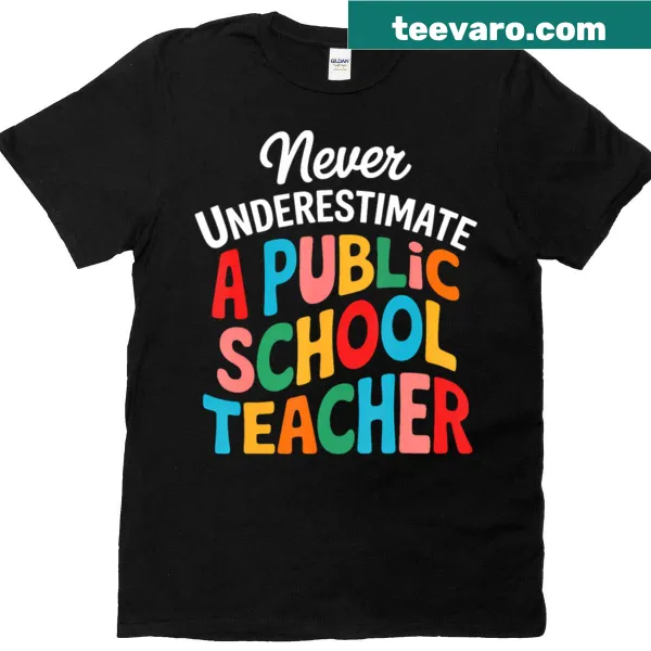 Public school teacher t-shirt with motivational text