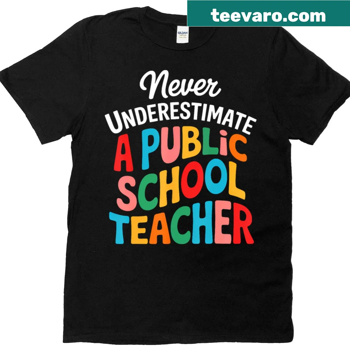Public school teacher t-shirt with motivational text — on a men's t-shirt