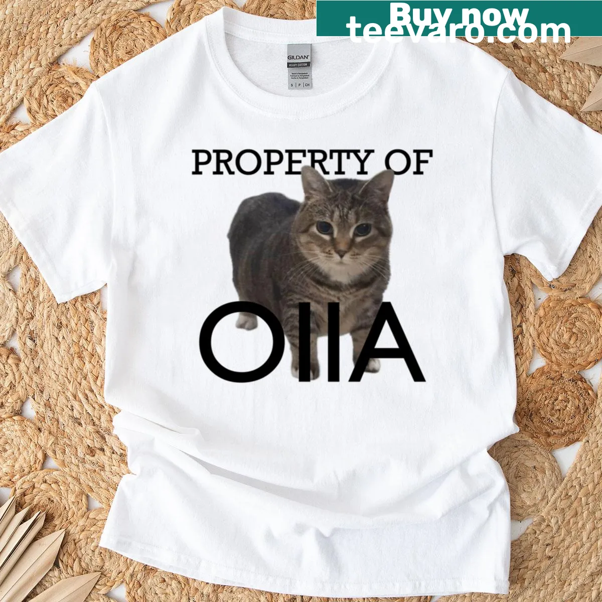 T-shirt with the text 'Property Of Oiia'. — on a men's t-shirt