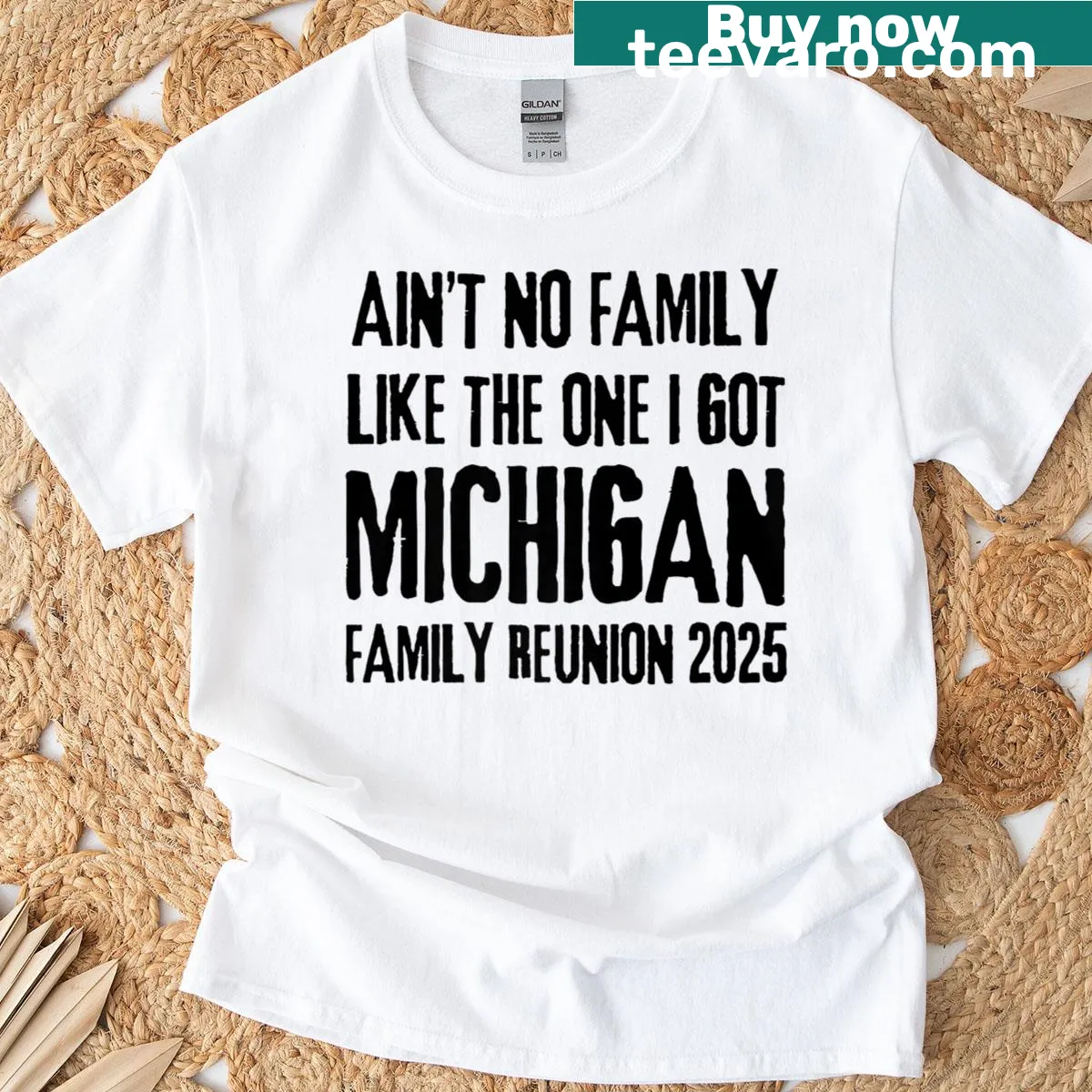 Family reunion t-shirt with the text: Aint No Family Like The One I Got — on a men's t-shirt