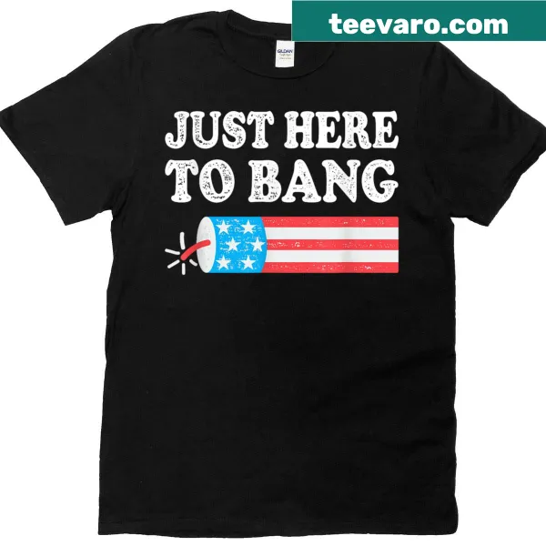 Funny American flag design with text about Independence Day.