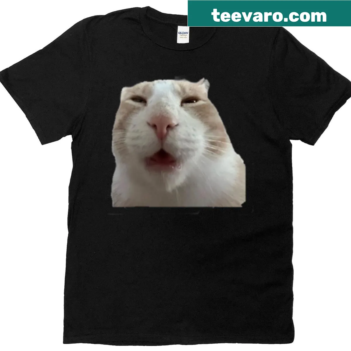 Funny cat t-shirt with text 'You Smell Silly' — on a men's t-shirt