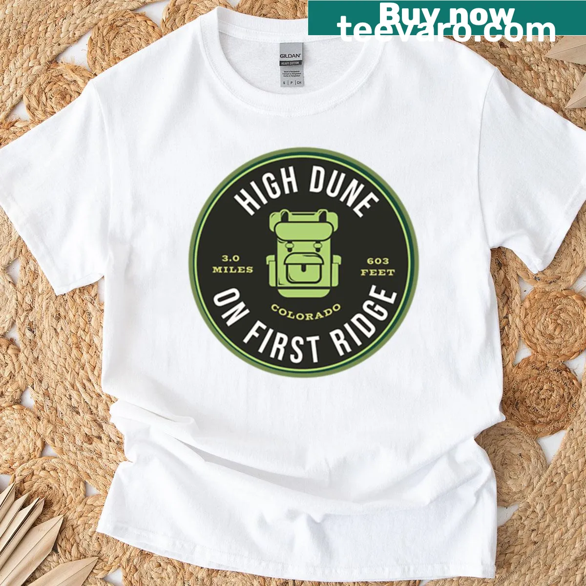 Illustration of Great Sand Dunes National Park on a t-shirt — on a men's t-shirt