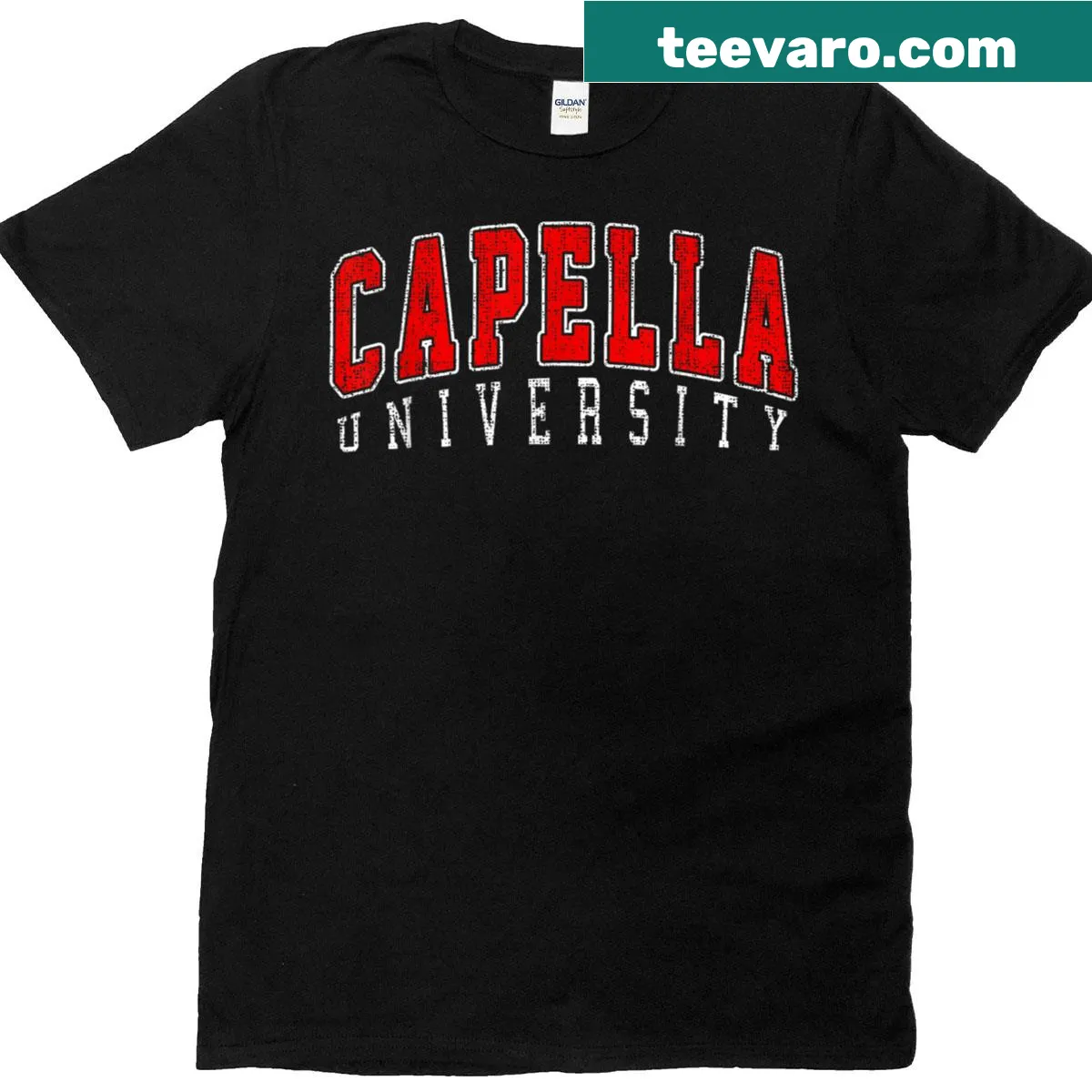 Vintage university arch graphic on T-shirt — on a men's t-shirt