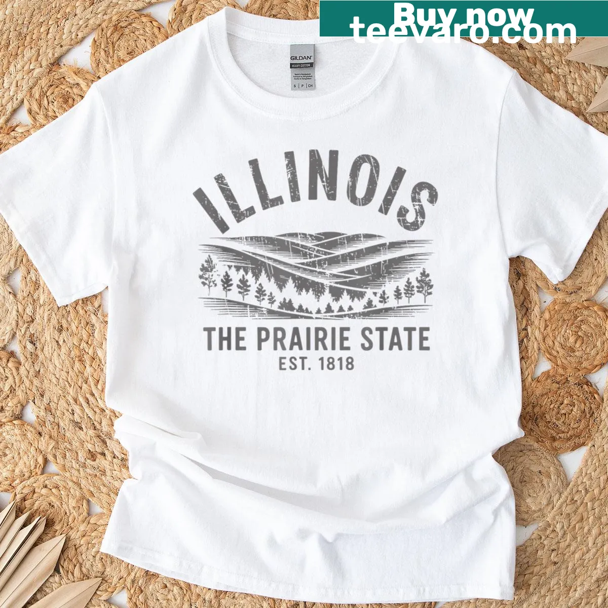 Vintage graphic of mountains representing Illinois — on a men's t-shirt
