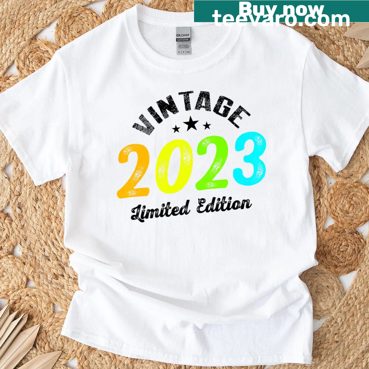 Vintage-style Limited Edition 2023 T-shirt — on a men's t-shirt