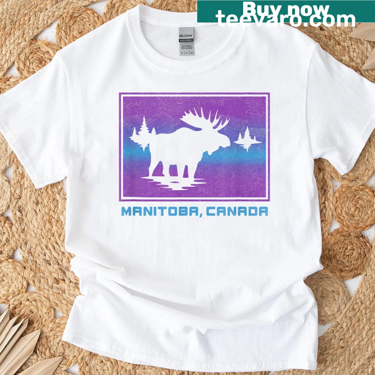 Retro Manitoba mountain graphic T-shirt — on a men's t-shirt