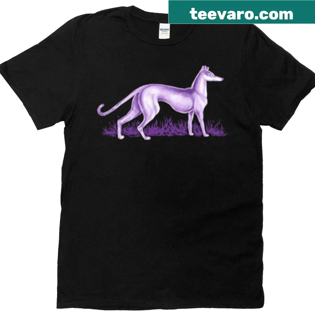 Illustration of a whippet on a Purple T-shirt for dog lovers — on a men's t-shirt