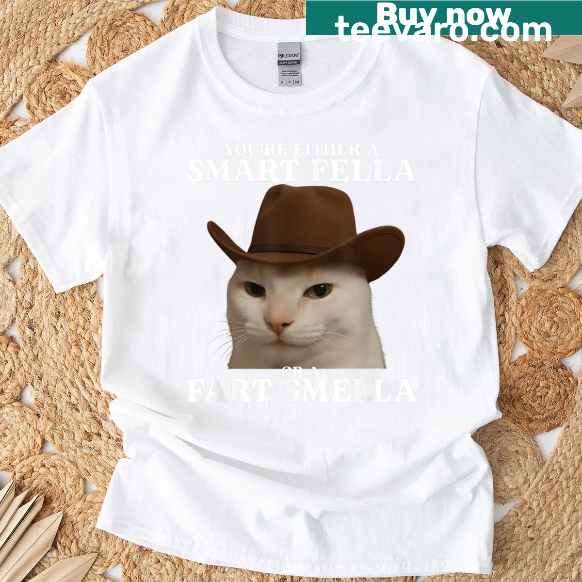 Funny T-shirt with a cat meme quote about intelligence — on a men's t-shirt