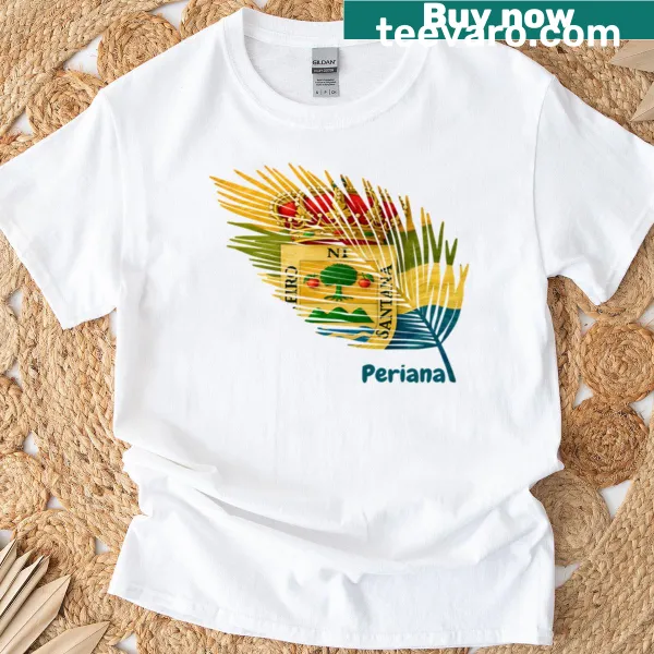 Abstract feather design inspired by flags on oversized t-shirt