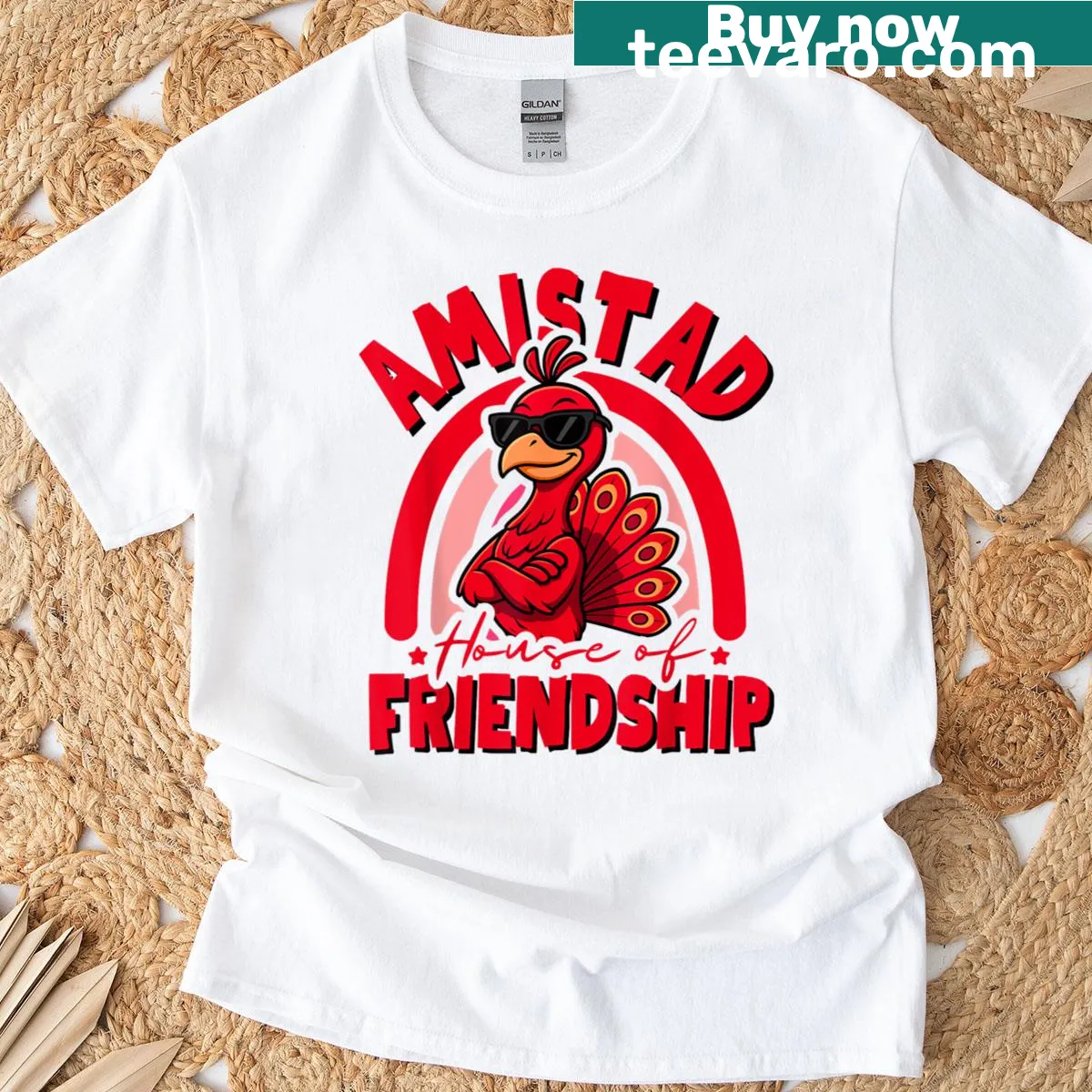 Amistad House Of Friendship T-shirt promoting school spirit — on a men's t-shirt
