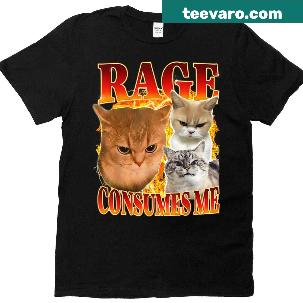 Silly cat t-shirt with humorous saying about cat ownership. — on a men's t-shirt