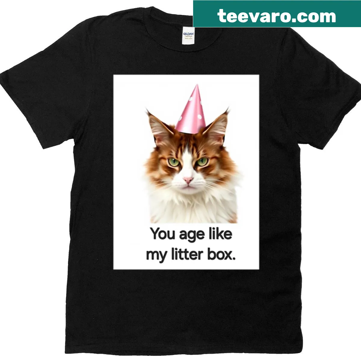 Funny birthday t-shirt with the phrase 'You Age Like My Litter Box' — on a men's t-shirt