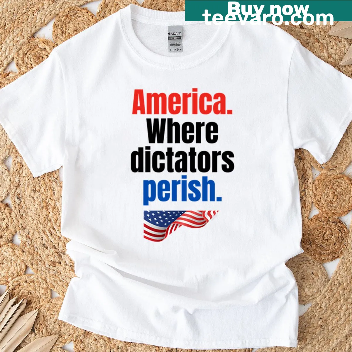 T-shirt with America Where Dictators Come To Perish graphic — on a men's t-shirt