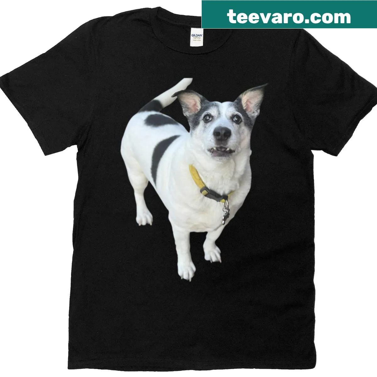 Illustrated T-shirt featuring Jojo the dog, labeled 'The Bestest Boy' — on a men's t-shirt