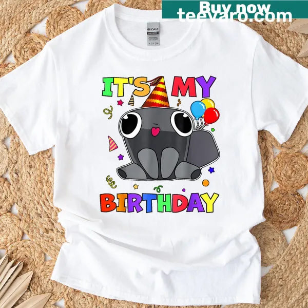 T-shirt with a pebble birthday decoration graphic for kids