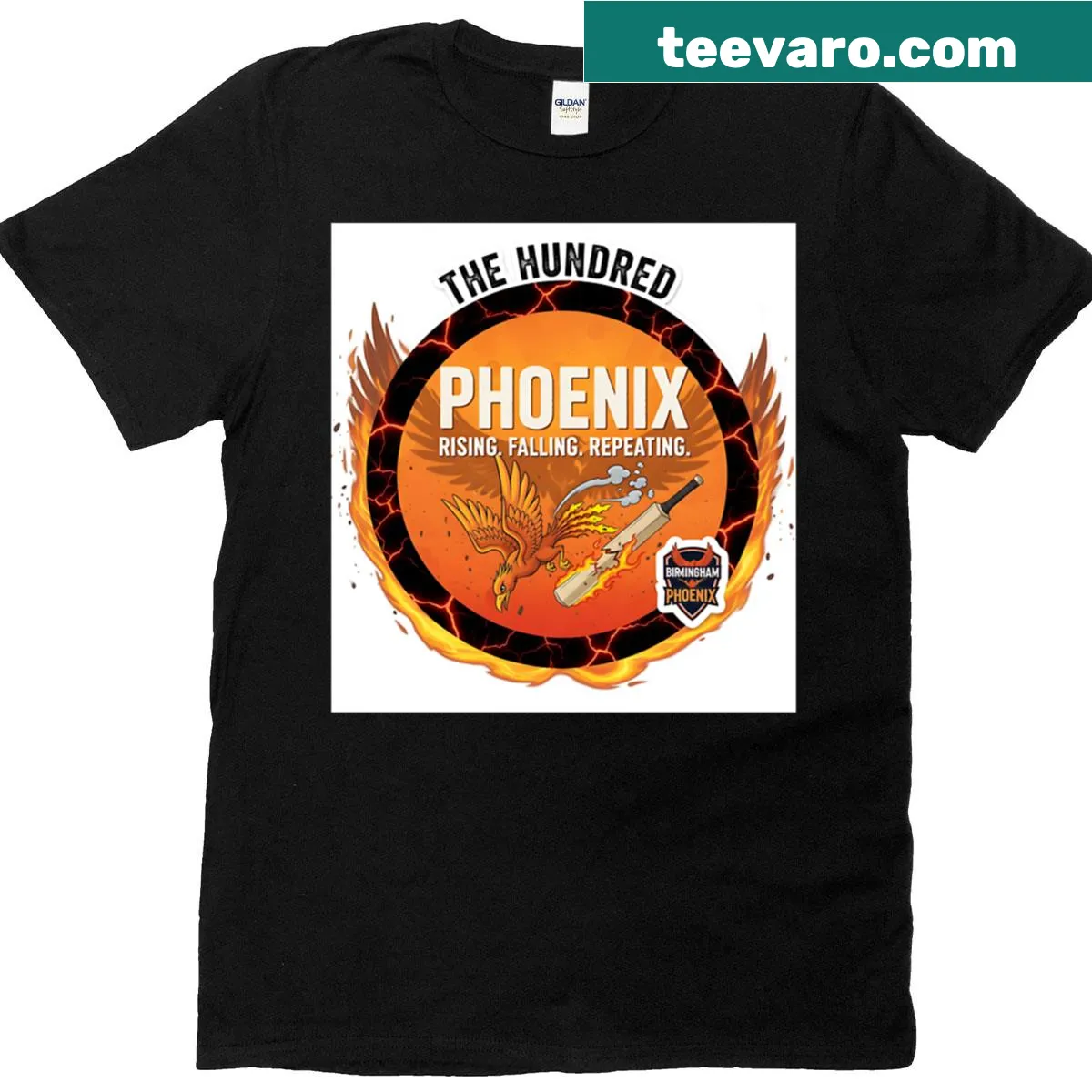 Satirical cricket badge t-shirt for Birmingham Phoenix fans — on a men's t-shirt