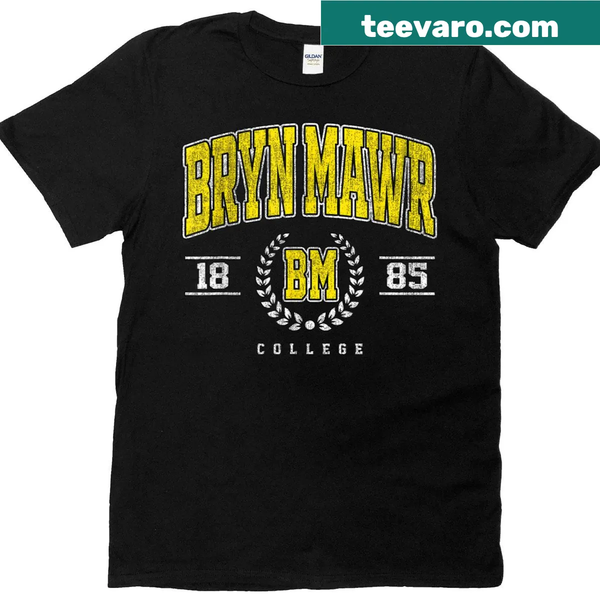 Retro Bryn Mawr of Technology arch design T-shirt — on a men's t-shirt