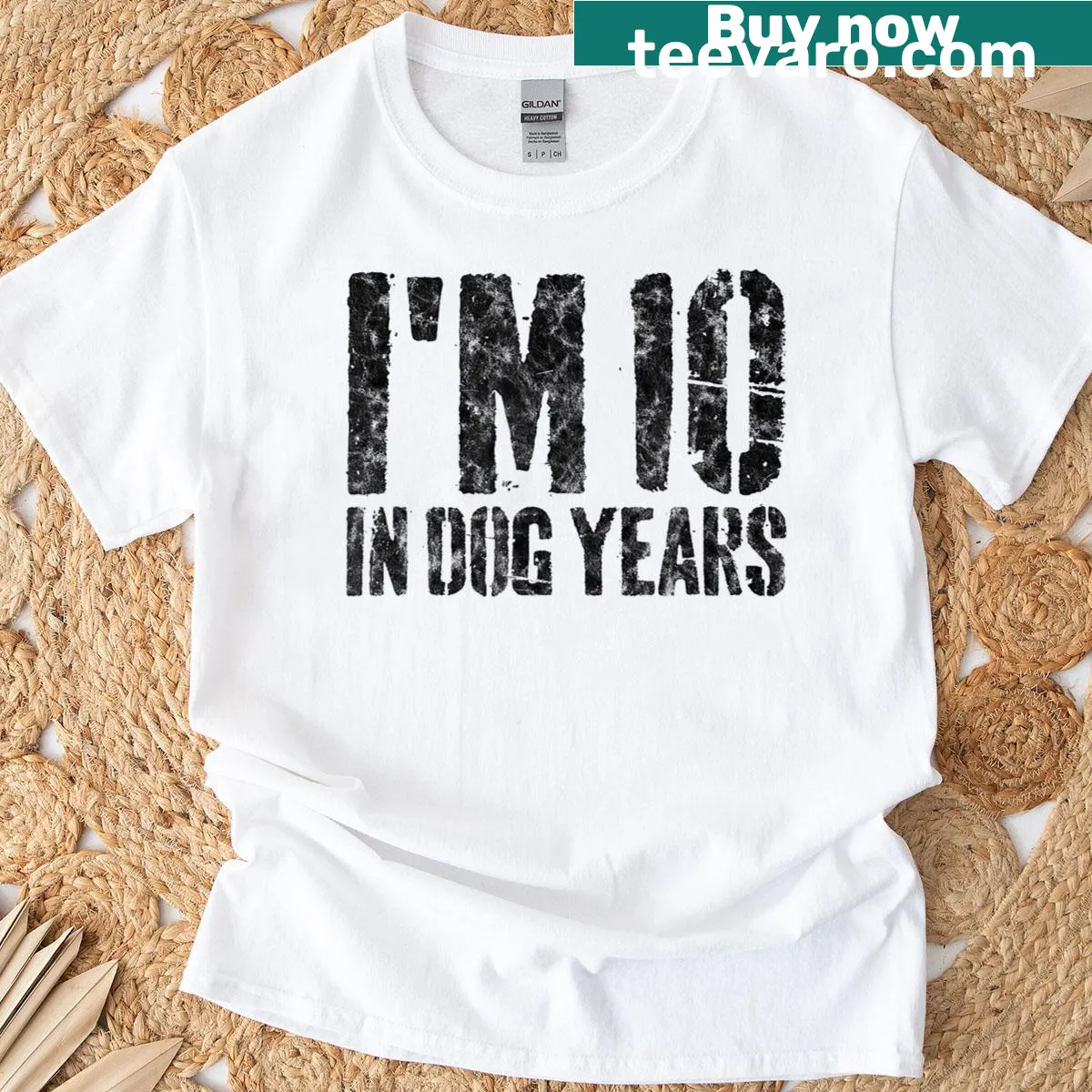 Funny t-shirt with the phrase 'I'm 10 In Dog Years' for 70th birthday — on a men's t-shirt