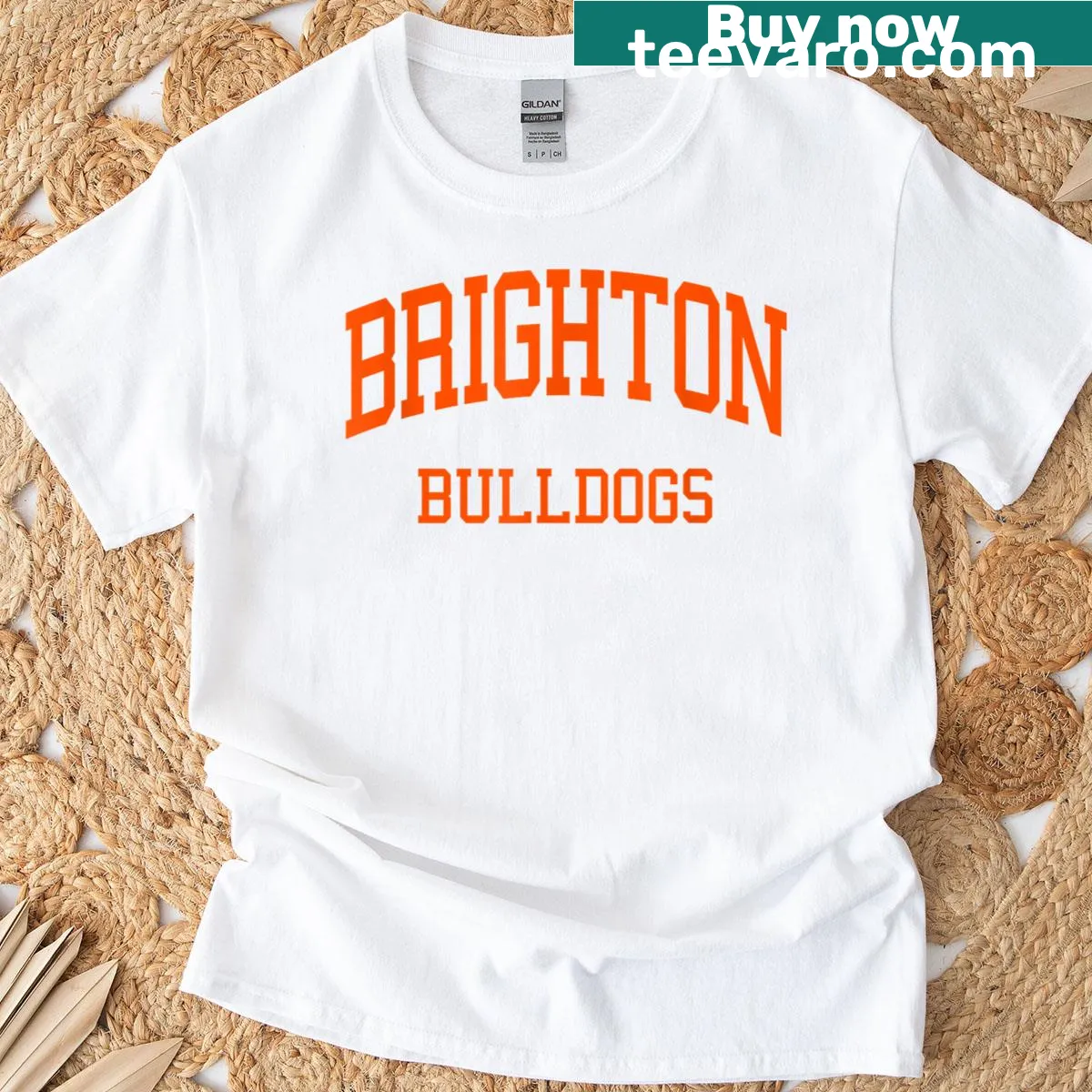 Retro Brighton High School sports t-shirt — on a men's t-shirt