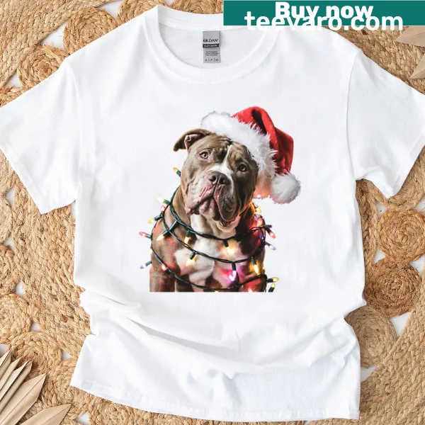 Cute pitbull in Santa hat wrapped in Christmas lights design
