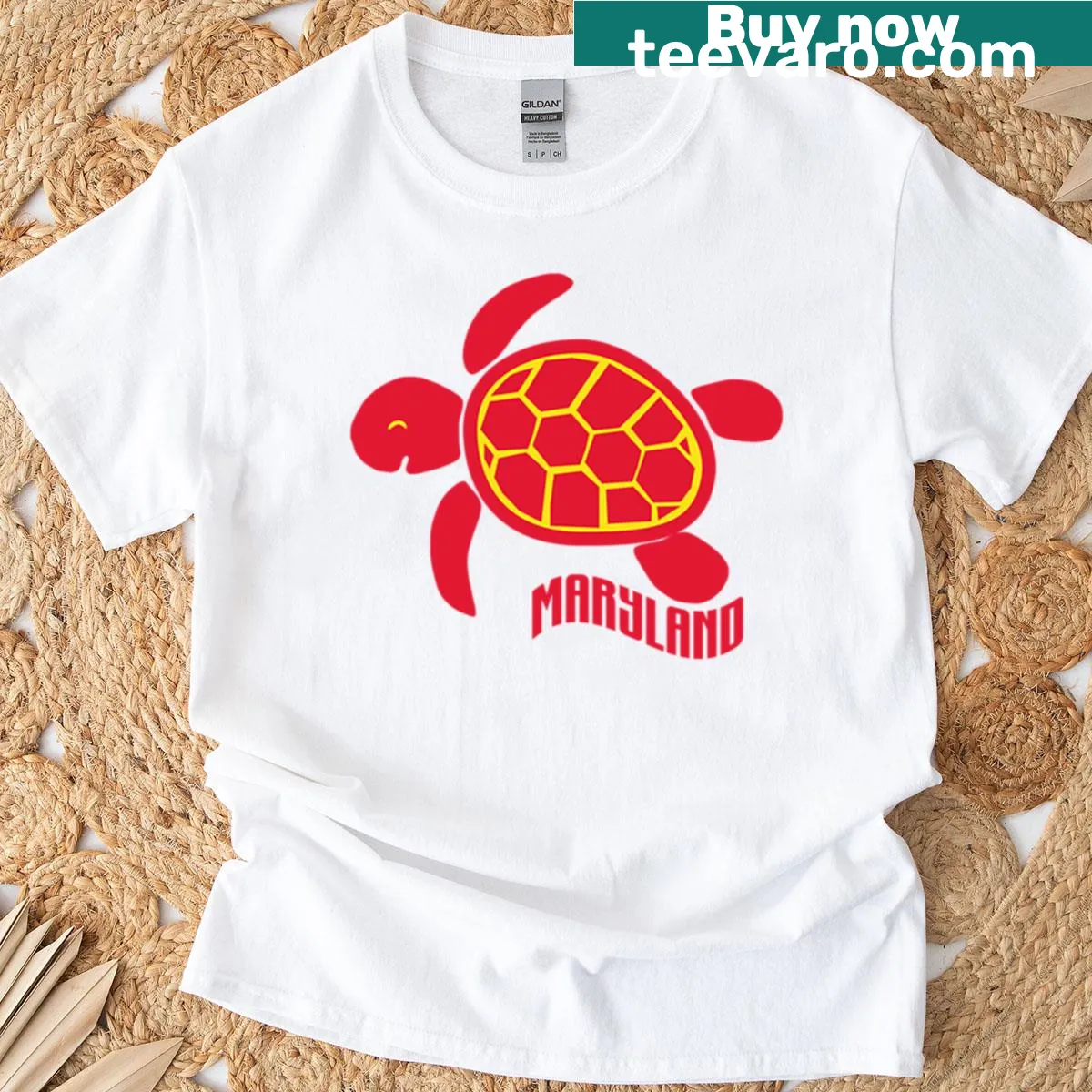 University of Maryland T-shirt with school logo graphic — on a men's t-shirt