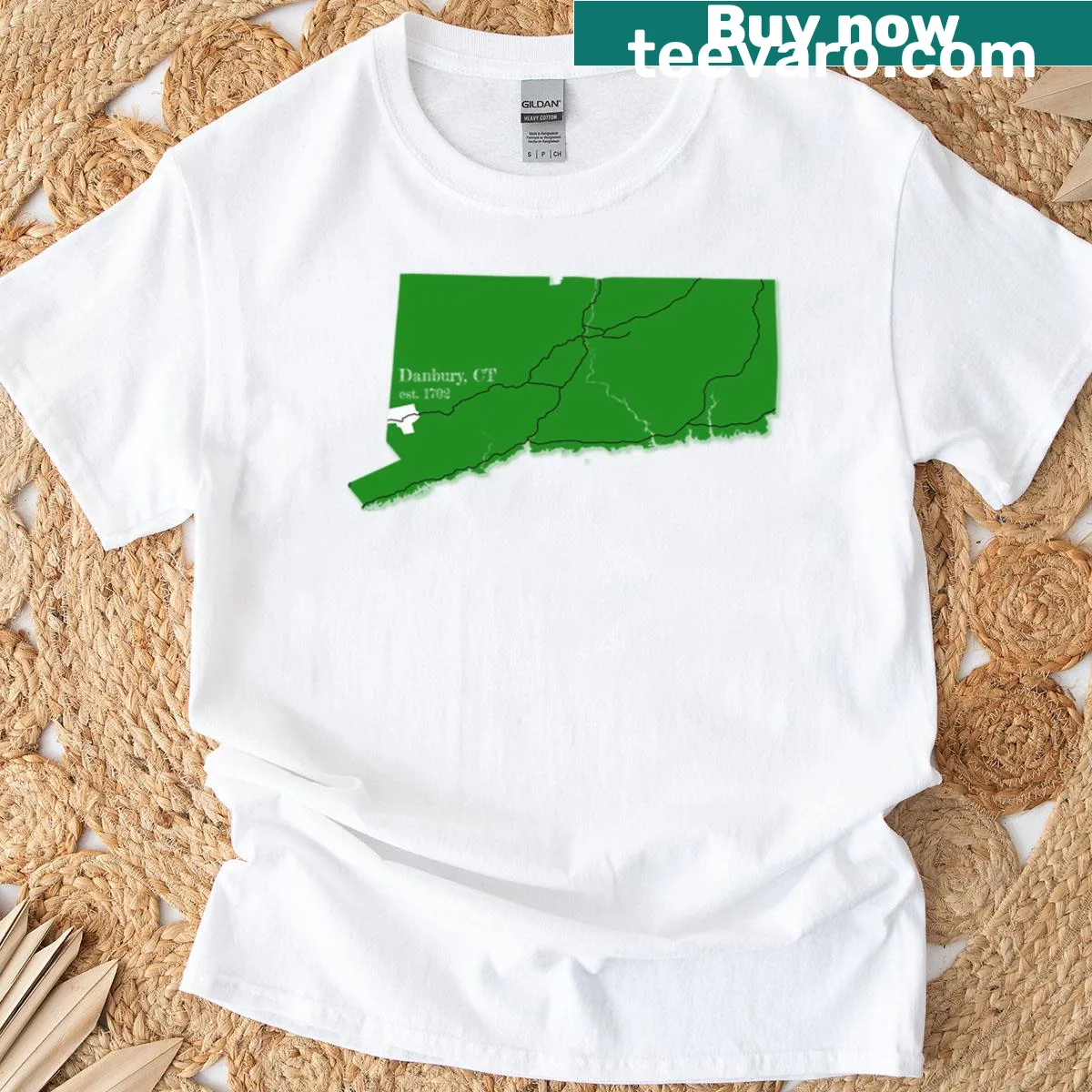 Minimalist Danbury Ct t-shirt in green color. — on a men's t-shirt