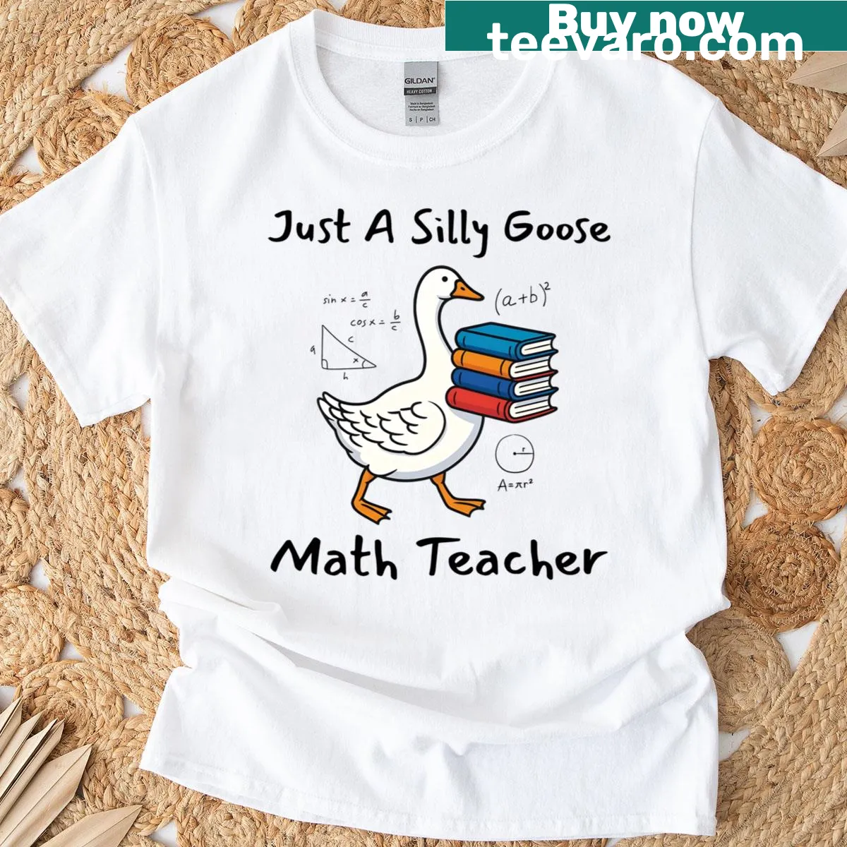 Playful shirt featuring a silly goose math teacher illustration — on a men's t-shirt