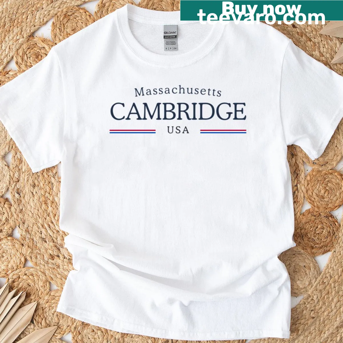 Heritage-themed t-shirt featuring Cambridge Massachusetts landmarks — on a men's t-shirt