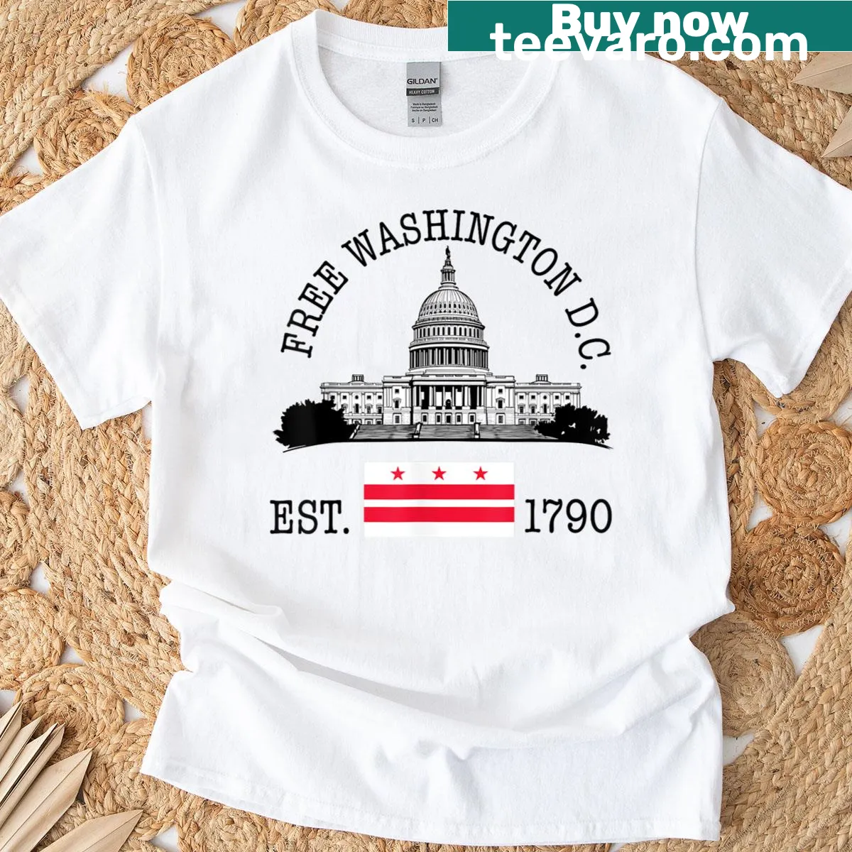 Capitol Hill graphic T-shirt for political enthusiasts — on a men's t-shirt