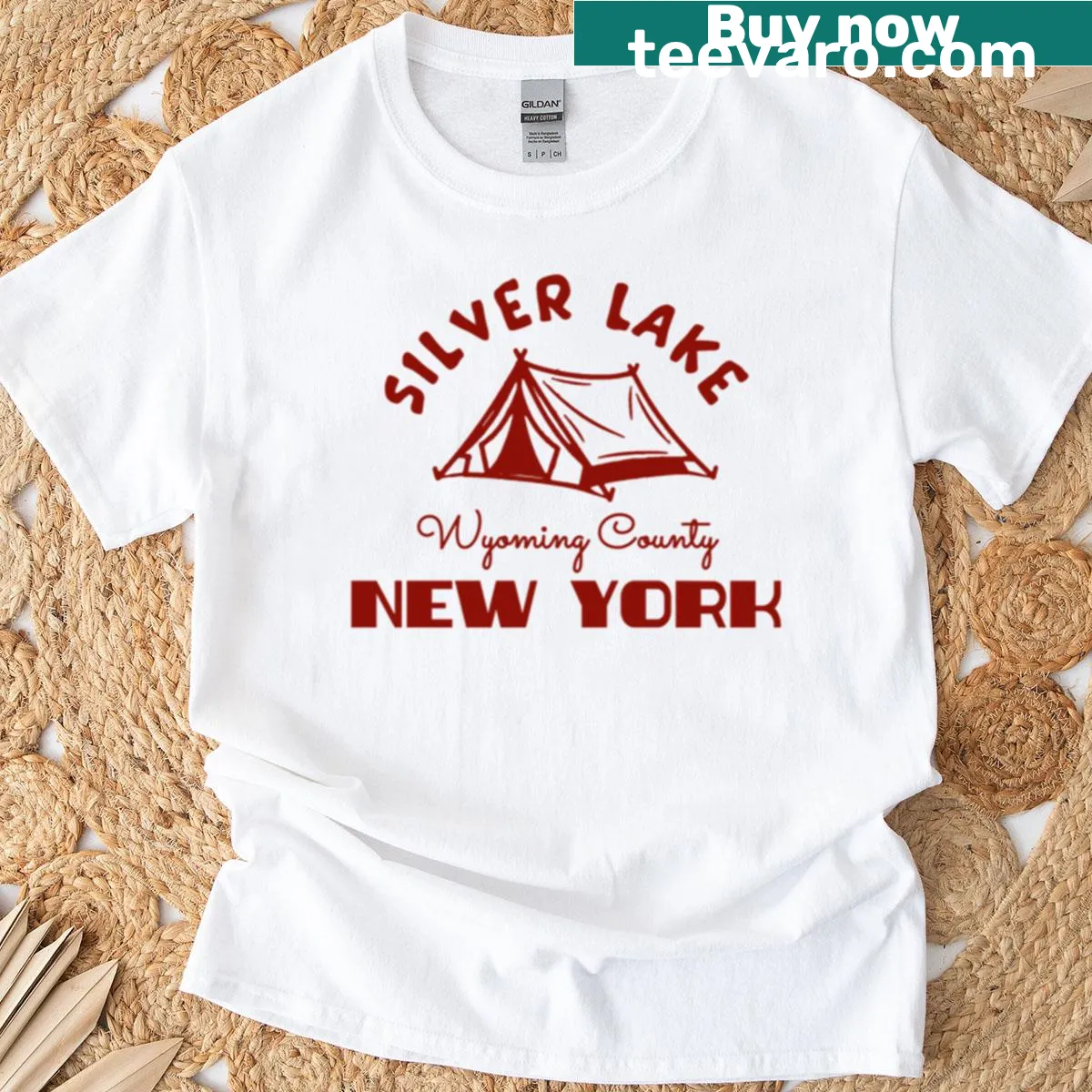 Illustration representing Silver Lake State Park in New York — on a men's t-shirt