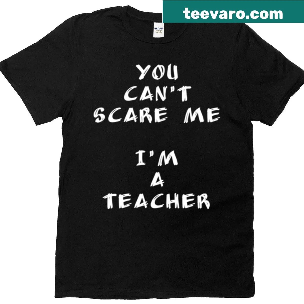 Teacher T-shirt with a snappy sarcastic phrase for back-to-school — on a men's t-shirt