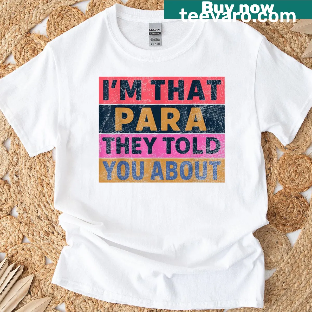 Retro graphic with 'I'm That Paraprofessional They Told You About' text on a t-shirt — on a men's t-shirt