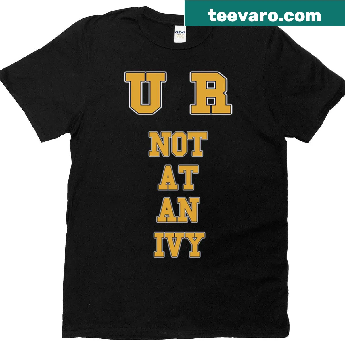Bold T-shirt featuring a straightforward declaration — on a men's t-shirt
