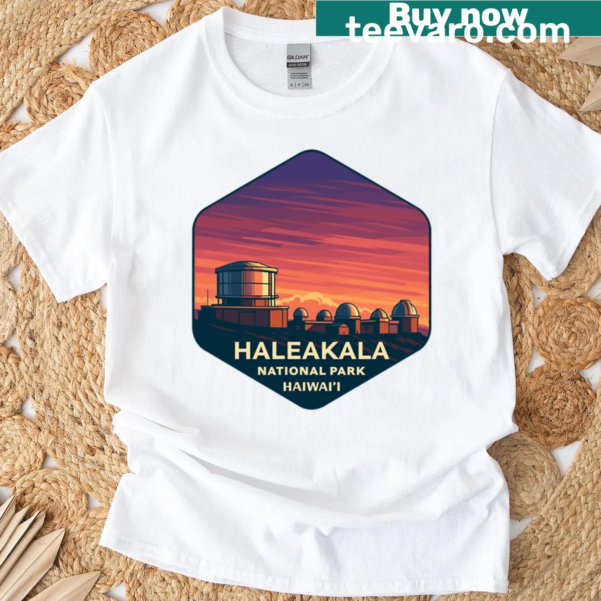 Retro graphic t-shirt featuring Haleakal National Park and volcano — on a men's t-shirt