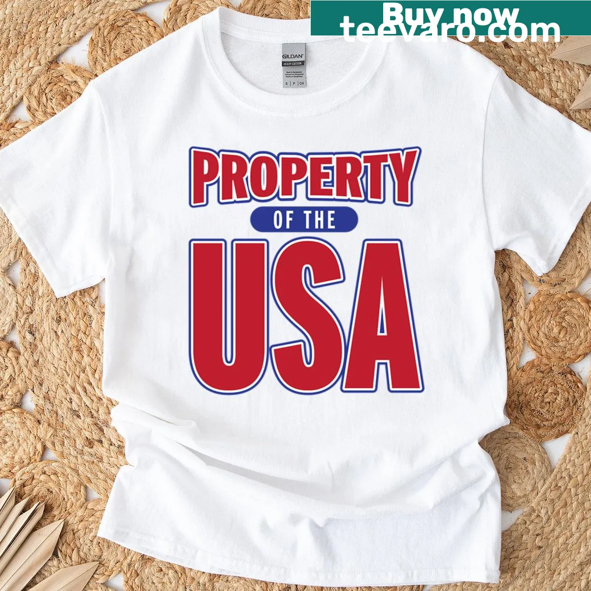 Simple 'Property Of The USA' text on a t-shirt. — on a men's t-shirt