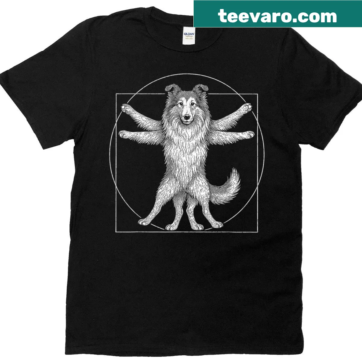 Artistic T-shirt featuring a Standard Rough Collie in the Vitruvian Man style — on a men's t-shirt