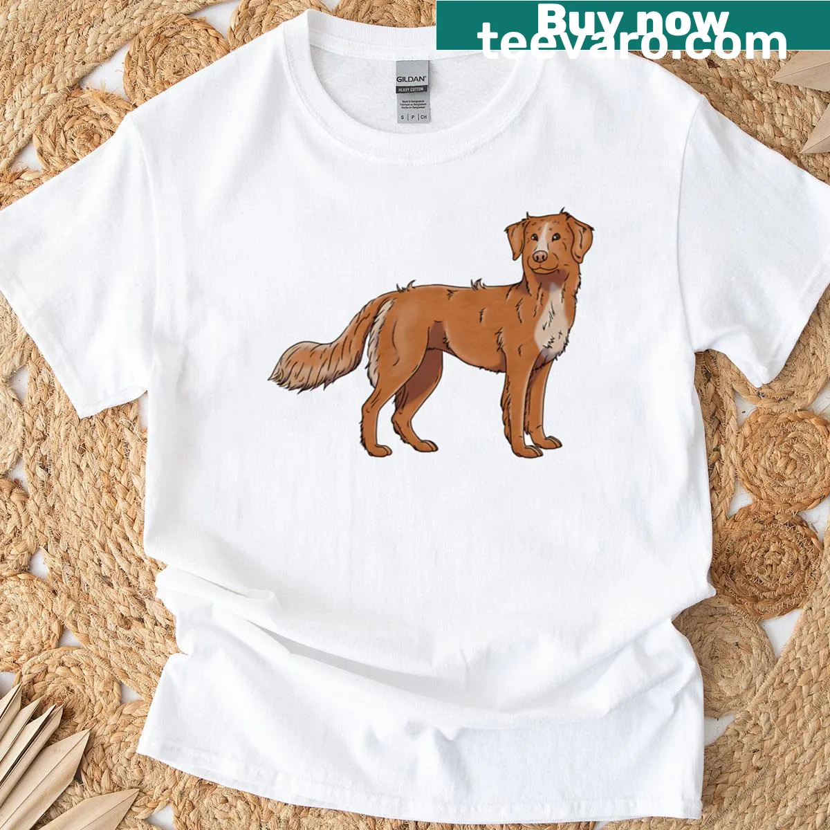 Illustration of a Nova Scotia Duck Tolling Retriever T-shirt — on a men's t-shirt