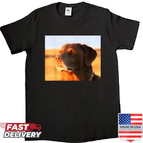 Funny shirt featuring a cartoon-style cooked dog meme