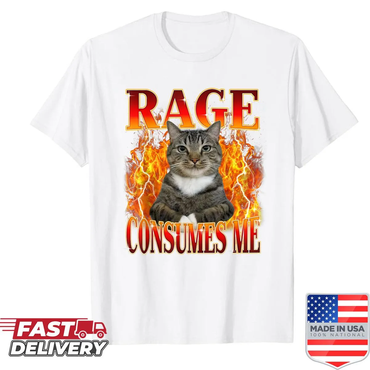 Cat meme shirt with sarcastic text Rage Consumes Me and kitten illustration