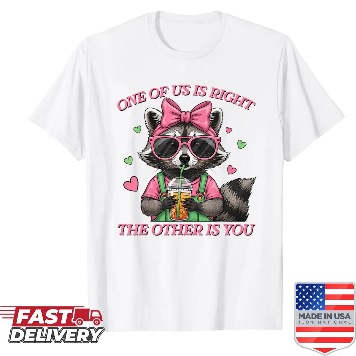 Sarcastic t-shirt with raccoon graphic and the phrase One Of Us Is Right The Other Is You