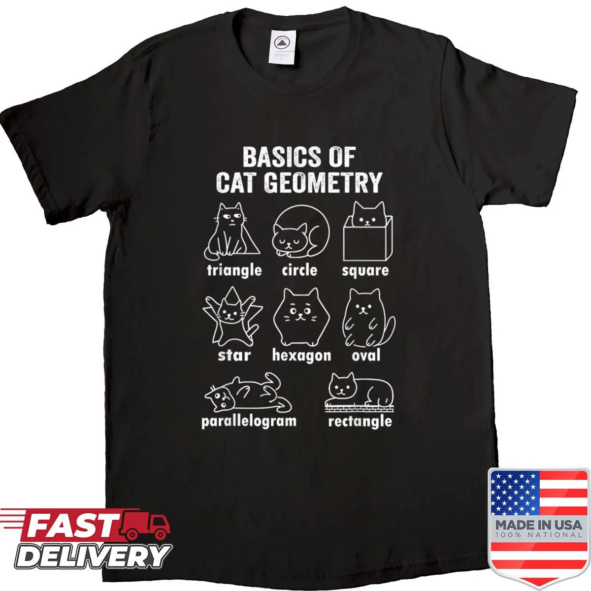 Funny cat-themed geometry T-shirt for math teachers