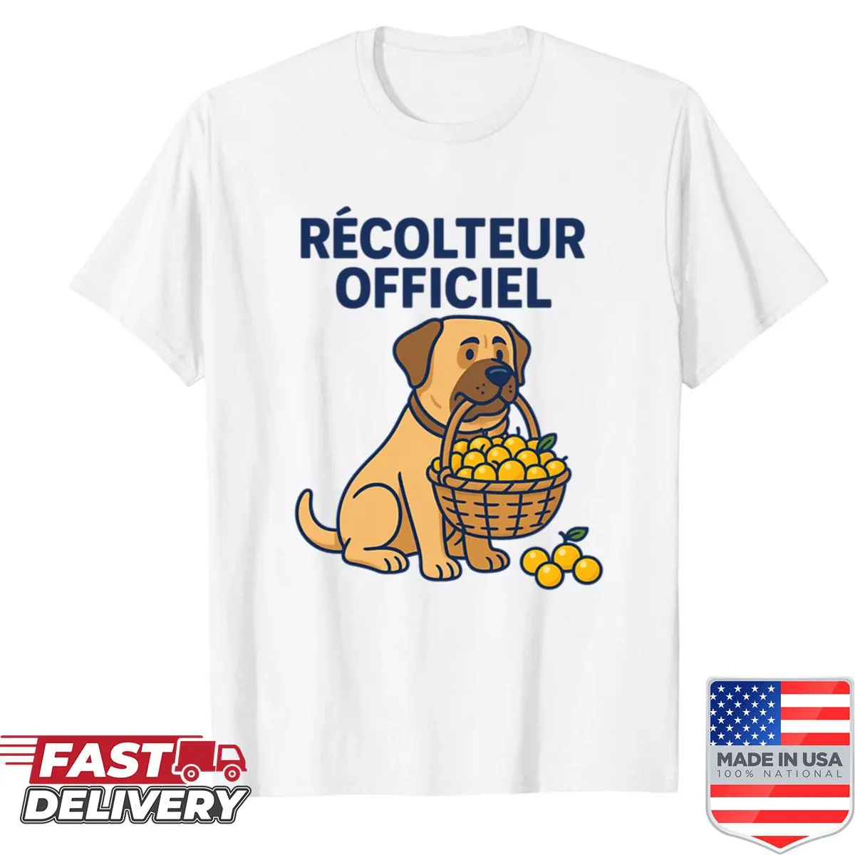 Simple text graphic stating Official Collector on t-shirt