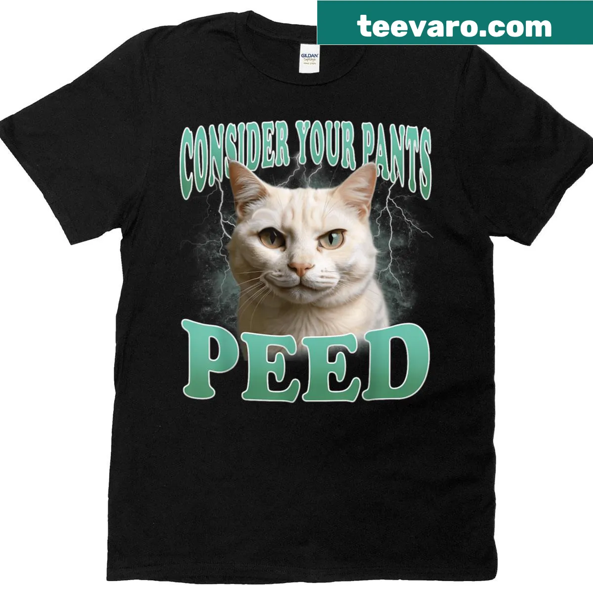 Funny cat meme t-shirt with humorous message about cats and pants — on a men's t-shirt