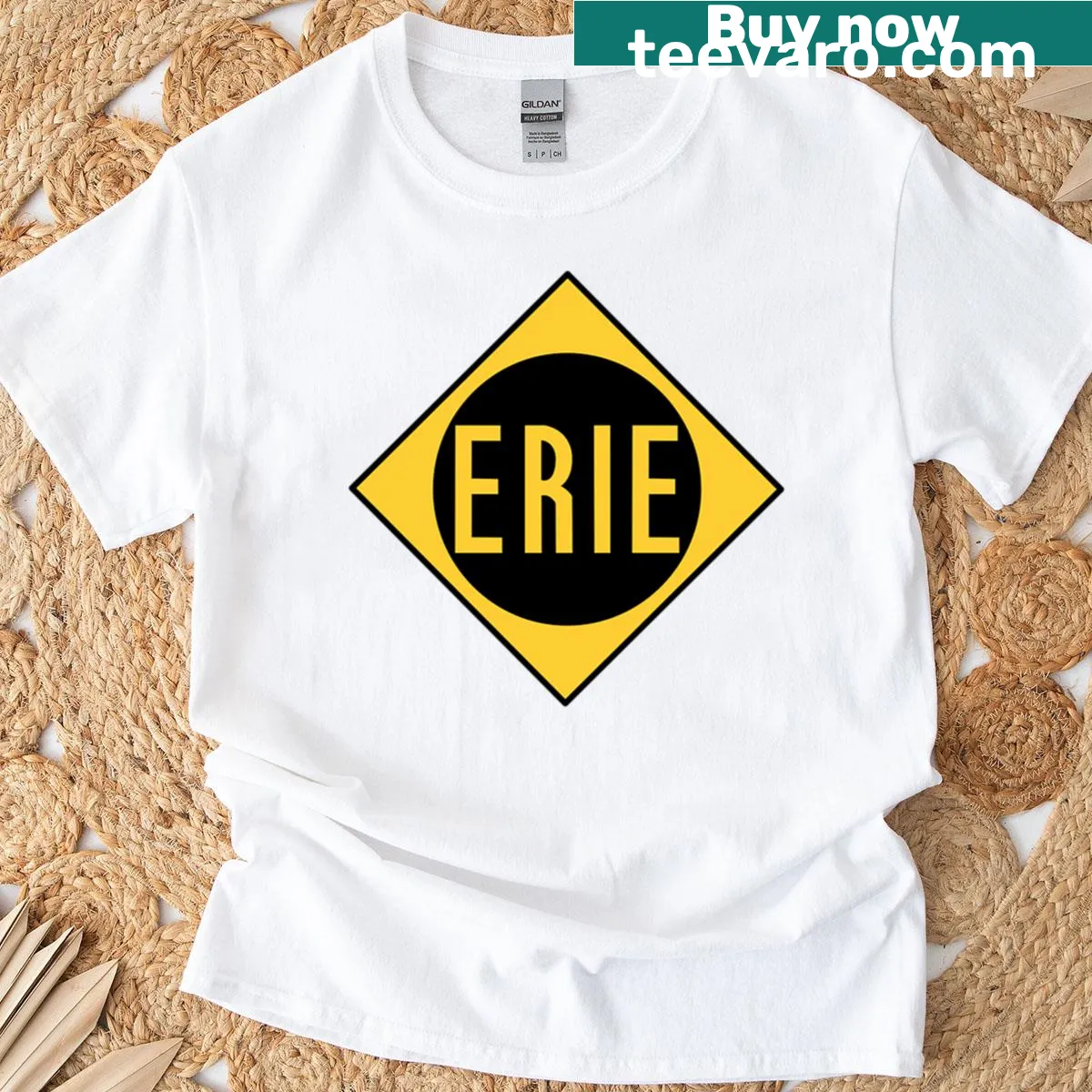 Vintage Erie Railroad logo on a distressed T-shirt — on a men's t-shirt