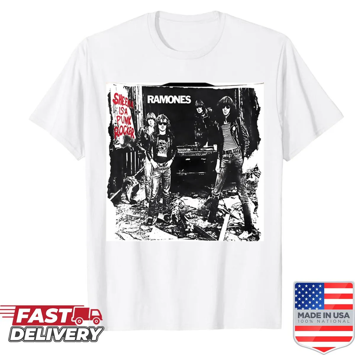 Vintage album punk band t-shirt for music lovers